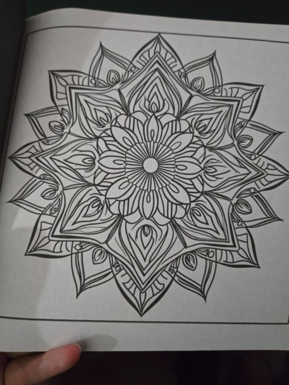 Intricate Mandalas Adult Coloring Book Alan Ritchie New Relaxation Meditation - Picture 5 of 8